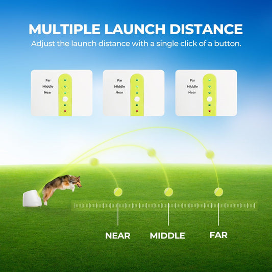 Lanzador automático de pelotas