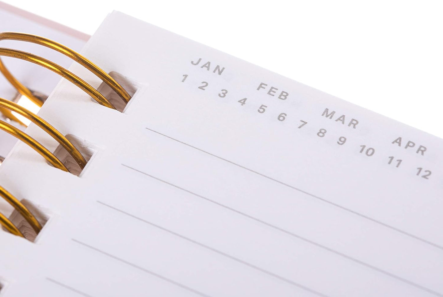 Iris Notebook