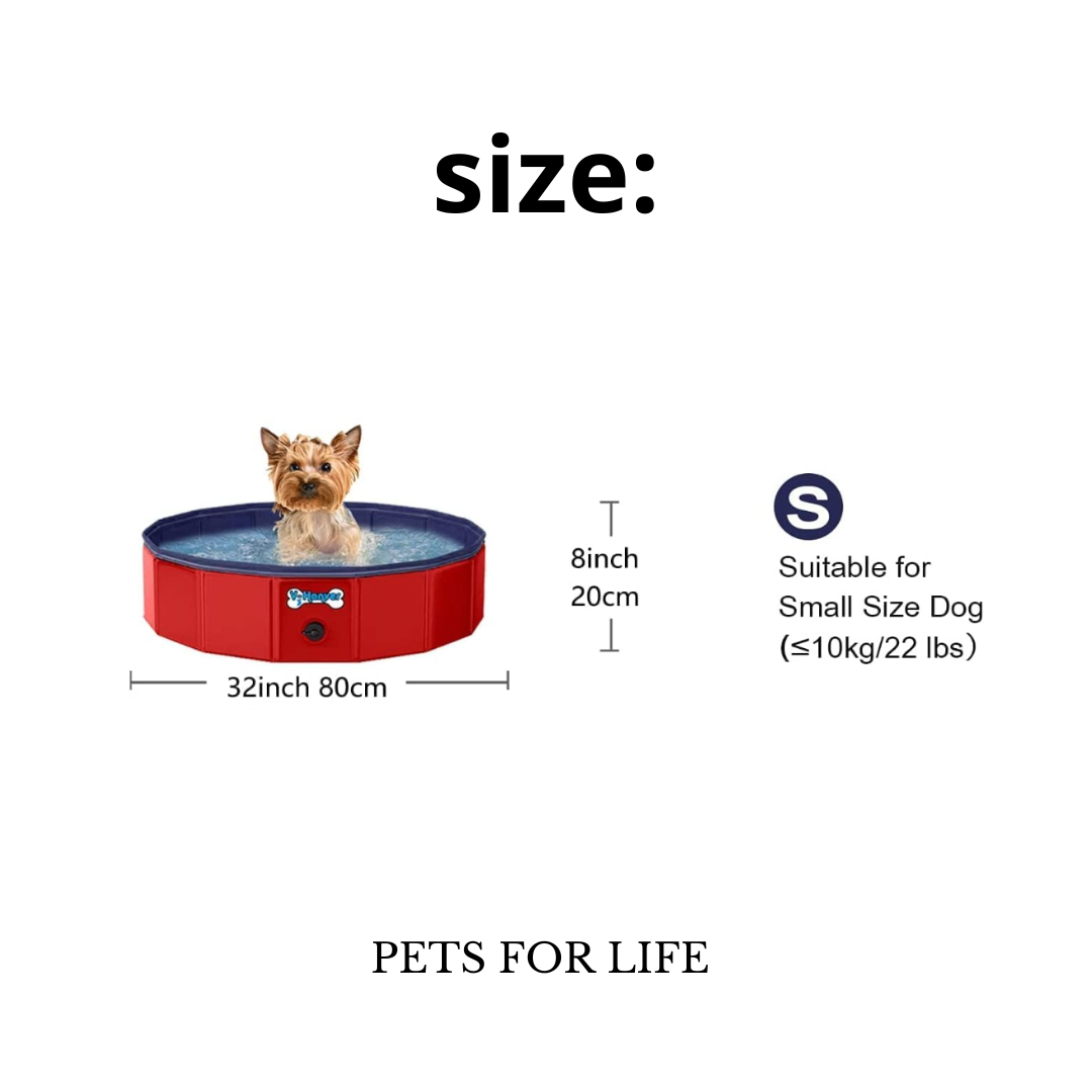 Dog Pool Pets Small