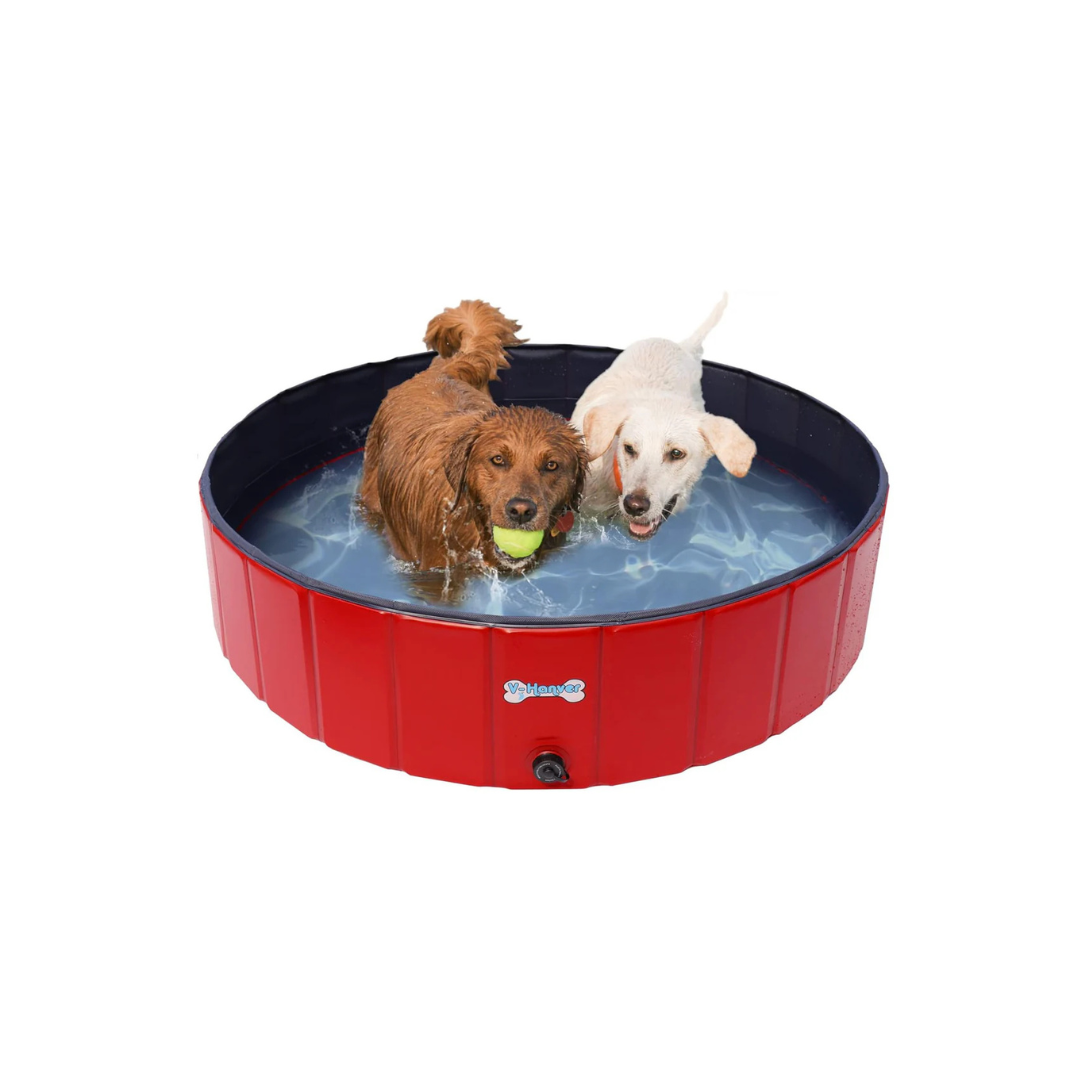 Dog Pool Pets Small