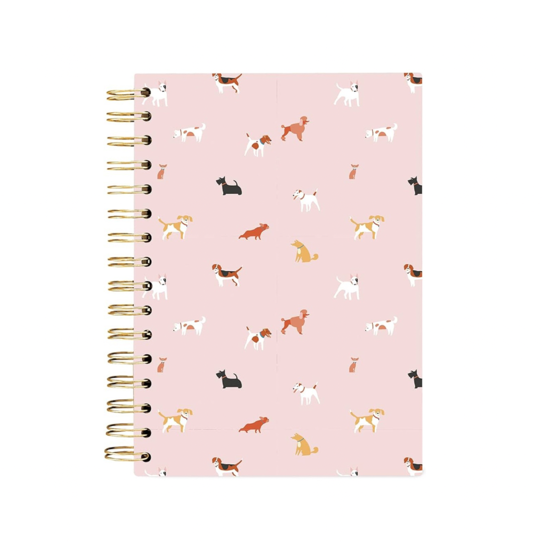 Graphique notebook Journal 160 pags