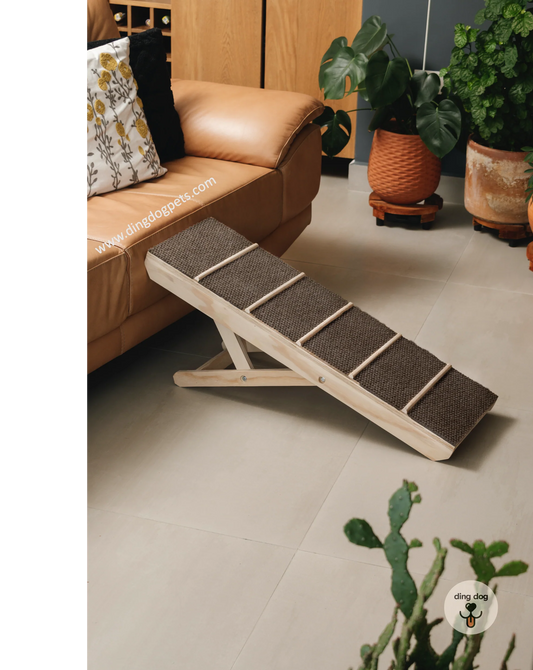 Rampa mascotas 30 cm de ancho (razas pequeñas)