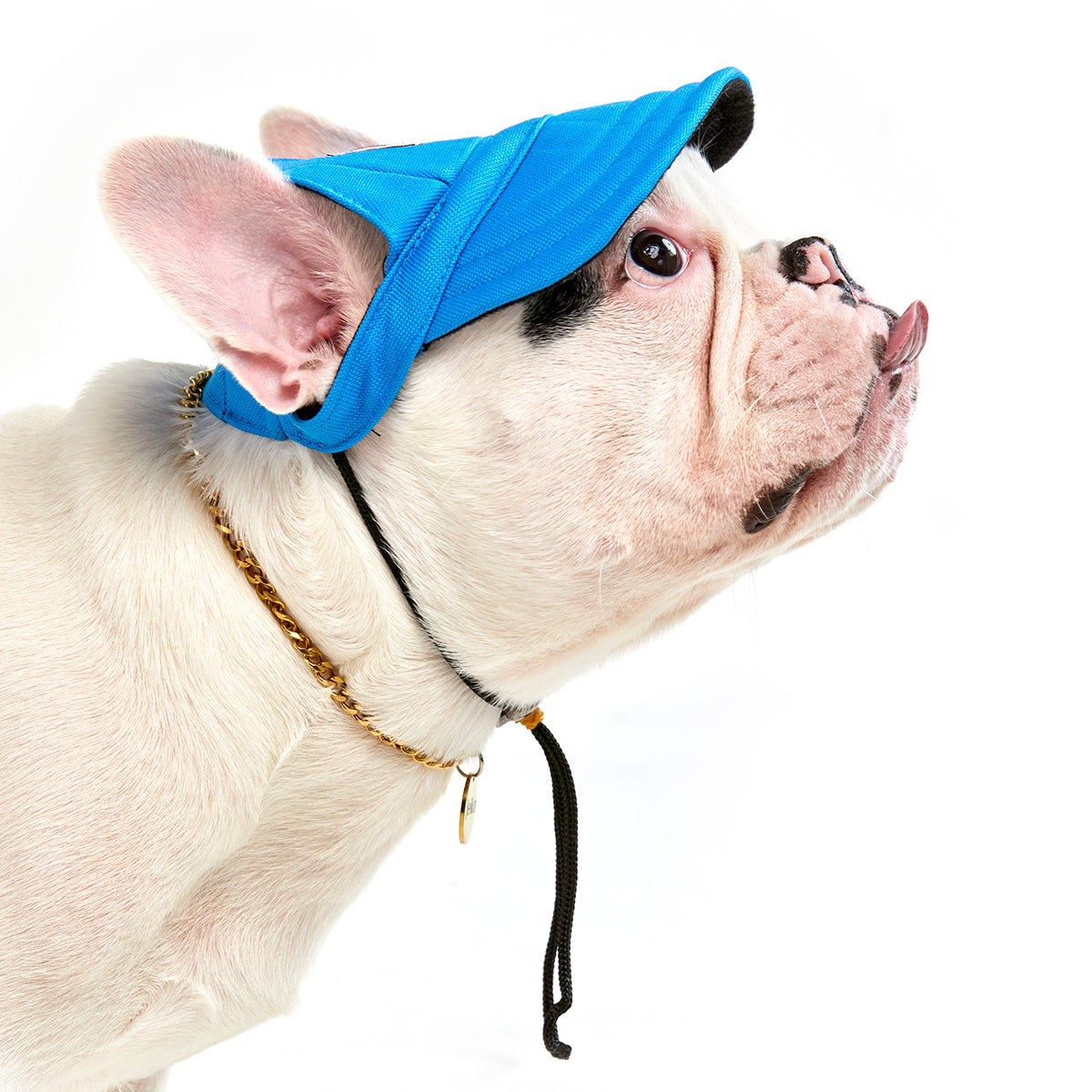 Gorra Para Mascotas Pawaboo Dog Baseball Cap