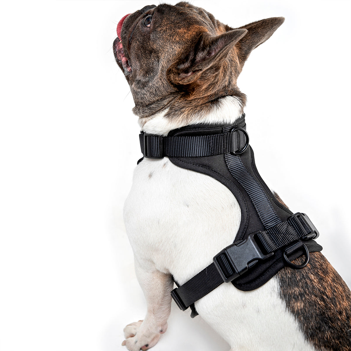 Kit Harness