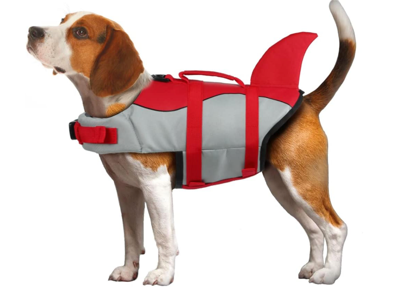 Dog Life Jacket Shark