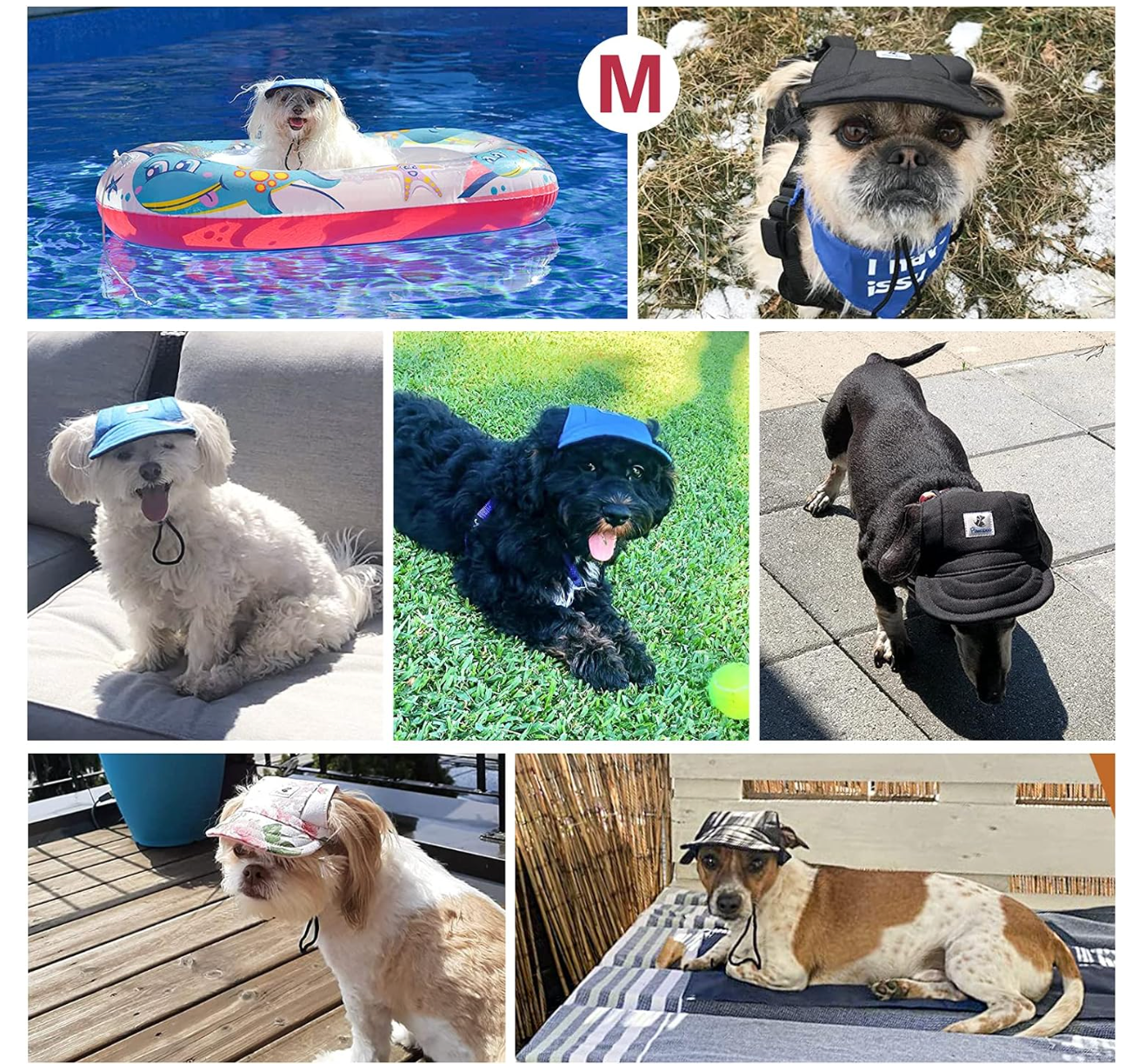 Gorra Para Mascotas Pawaboo Dog Baseball Cap