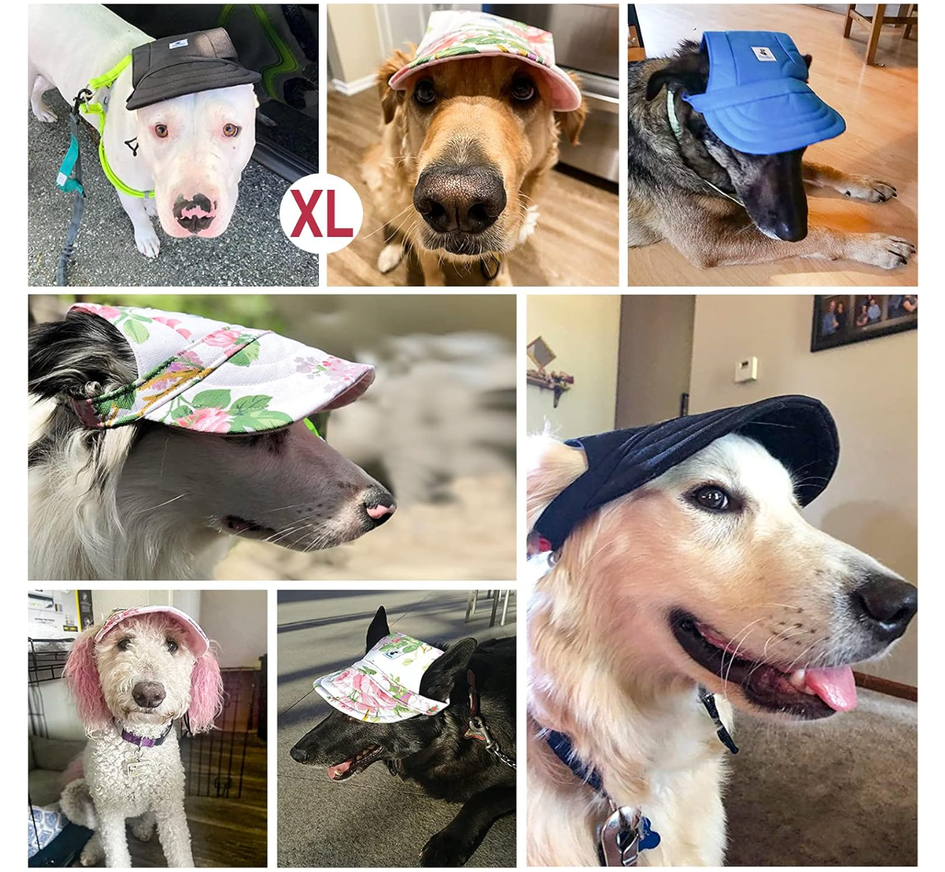 Gorra Para Mascotas Pawaboo Dog Baseball Cap