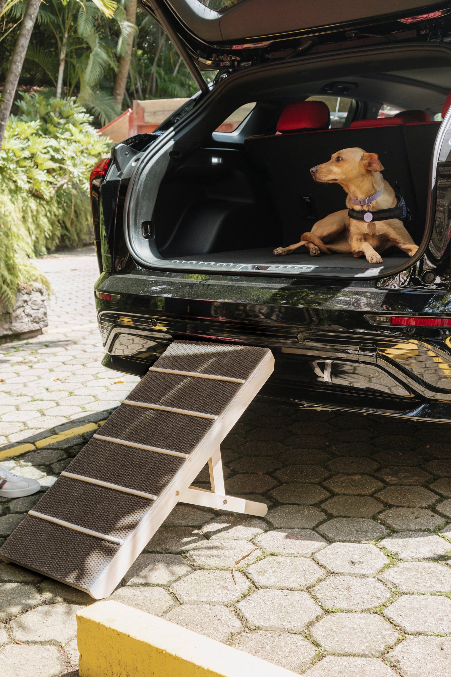 Rampa mascotas 30 cm de ancho (razas pequeñas)