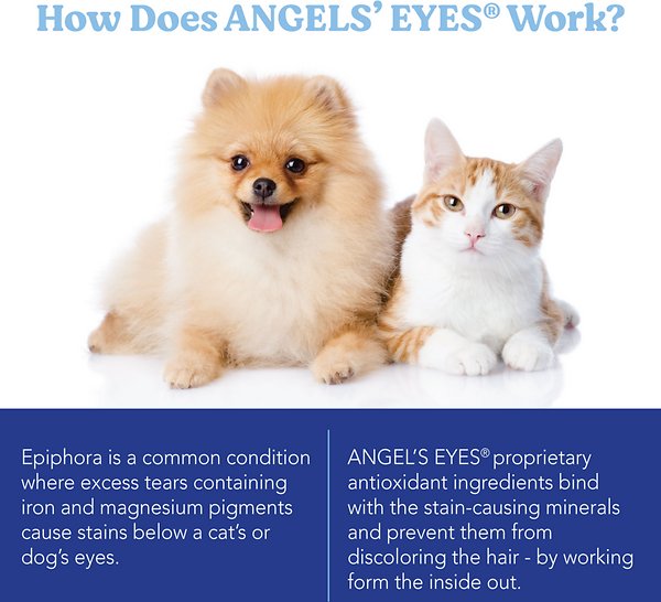 Angel Eyes Chews