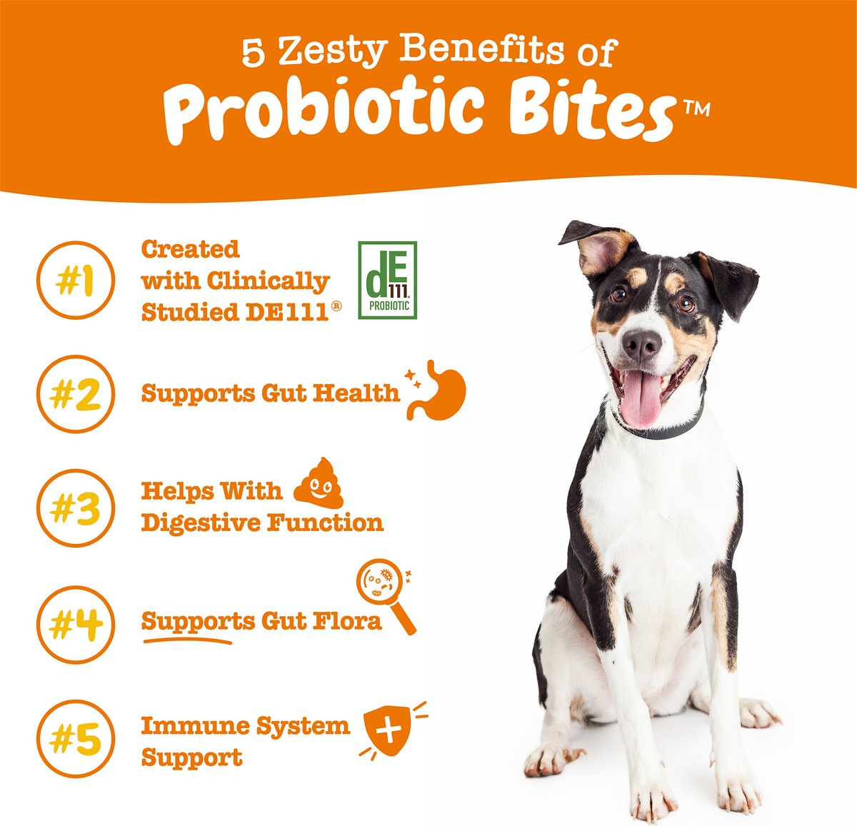Zesty Paws Probiotic Bites - Sistema Digestivo
