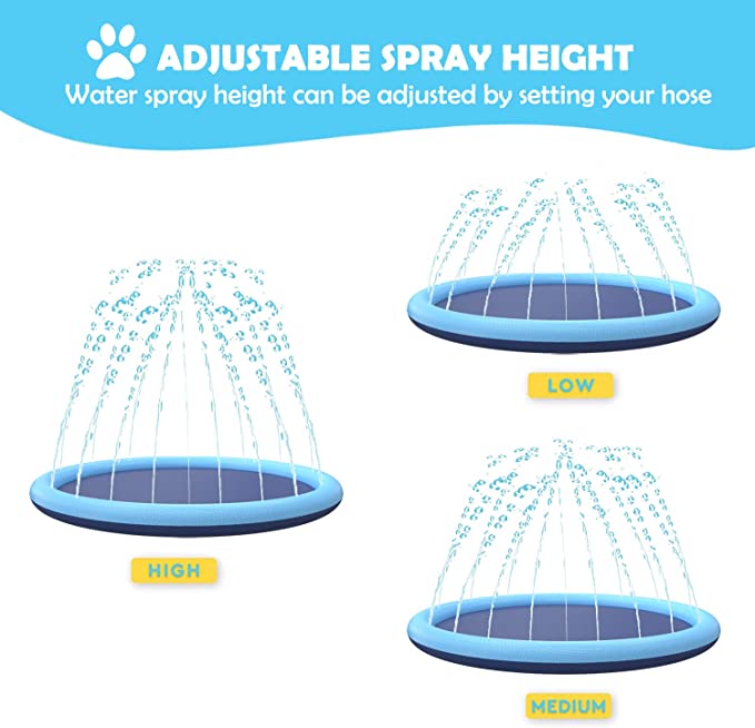 Splash Dog