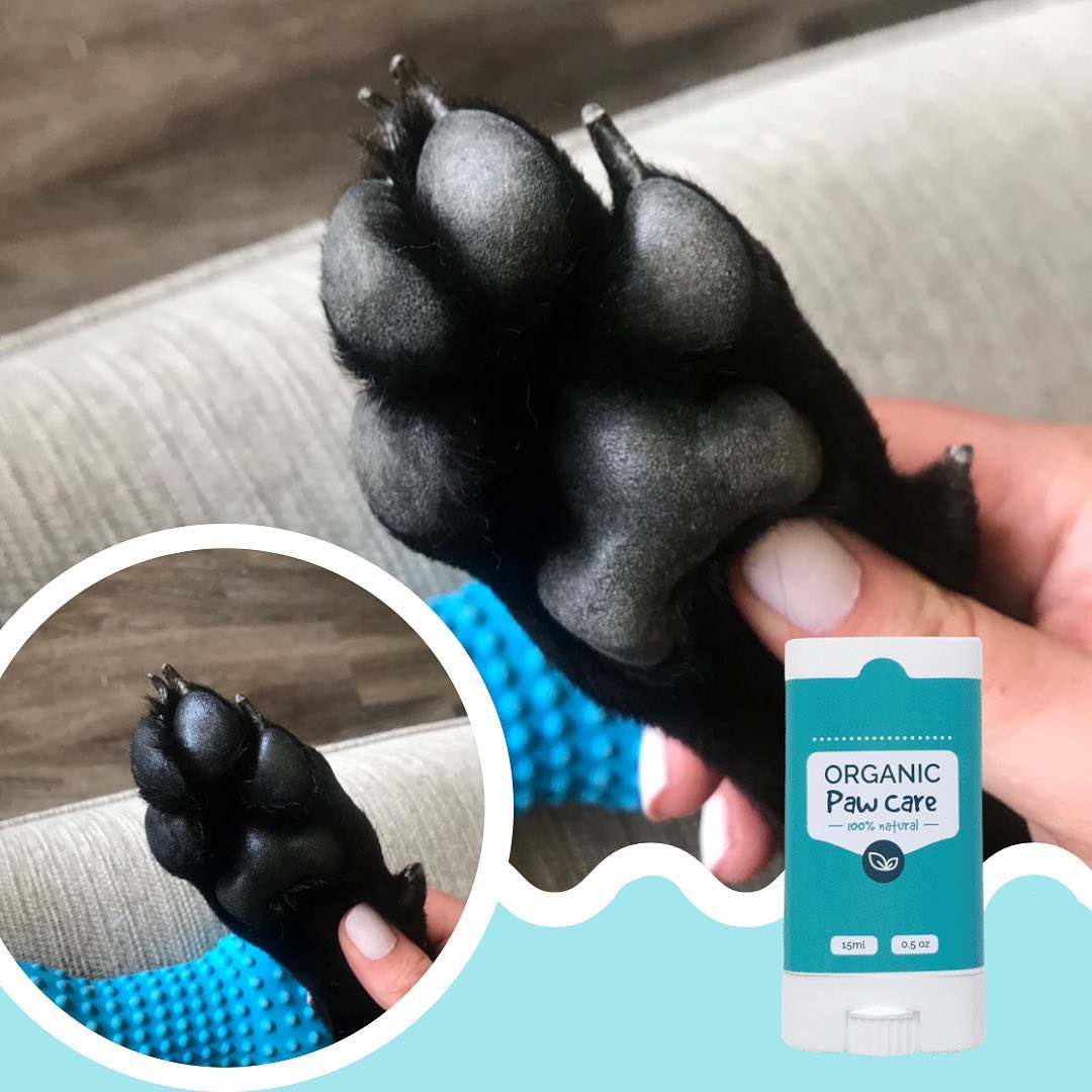 Organic Paw Care Hidratante De Huellitas Y Nariz