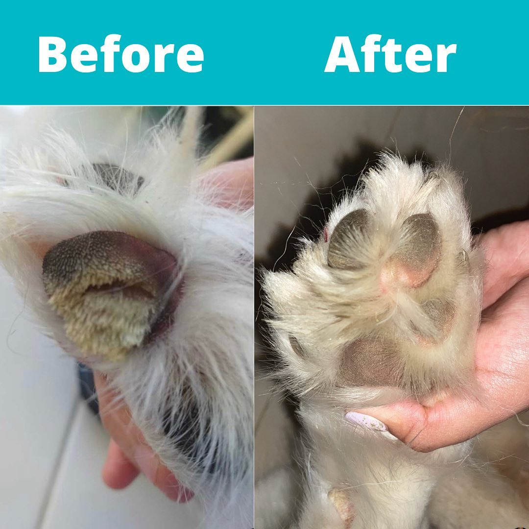 Organic Paw Care Hidratante De Huellitas Y Nariz