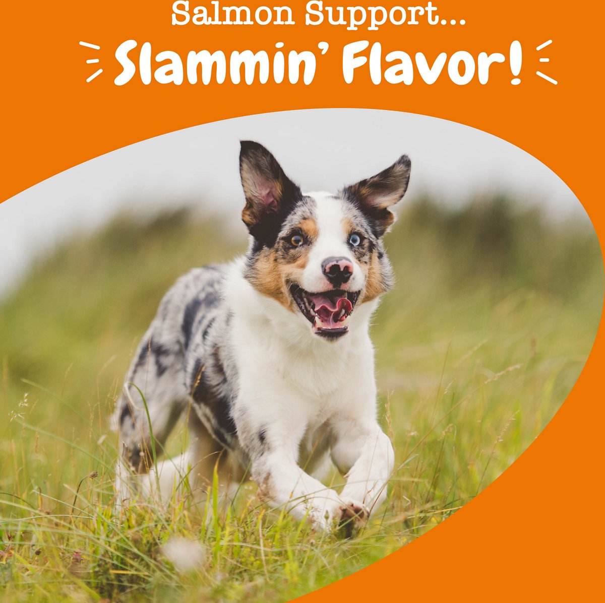 Zesty Paws Salmon Bites - Piel Y Pelaje