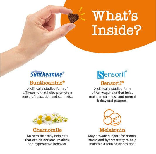 Calming bites cats- zesty paws