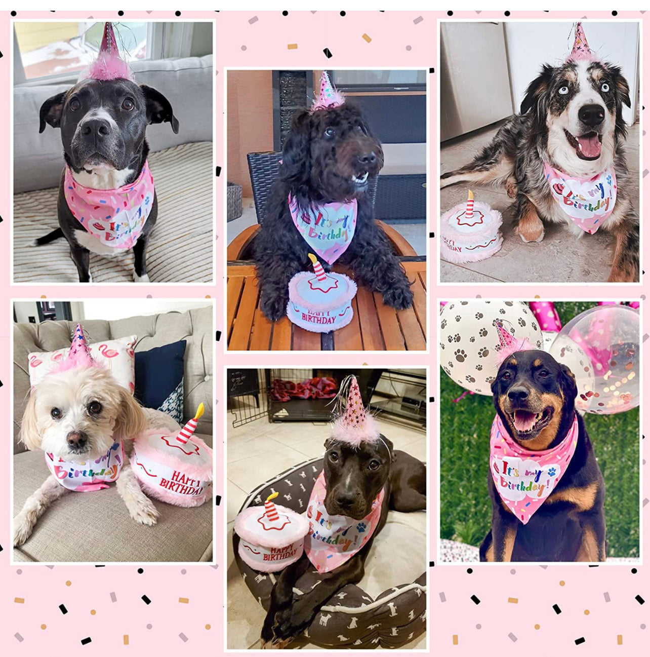 EXPAWLORER Traje de cumpleaños, lindo sombrero, bufanda y pastel chirriante