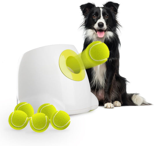 Lanzador automático de pelotas