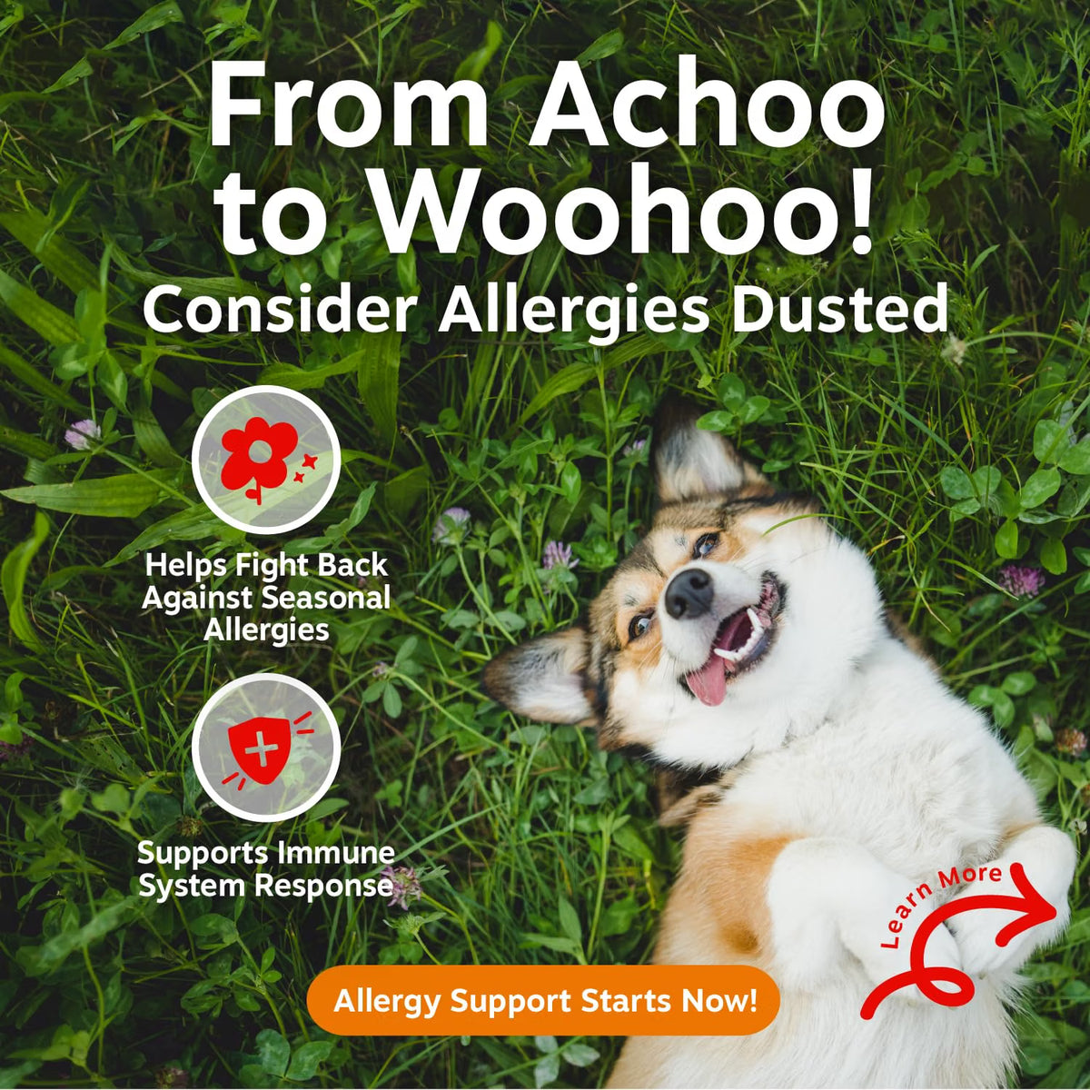 Aller Immune Bites Zesty Paws