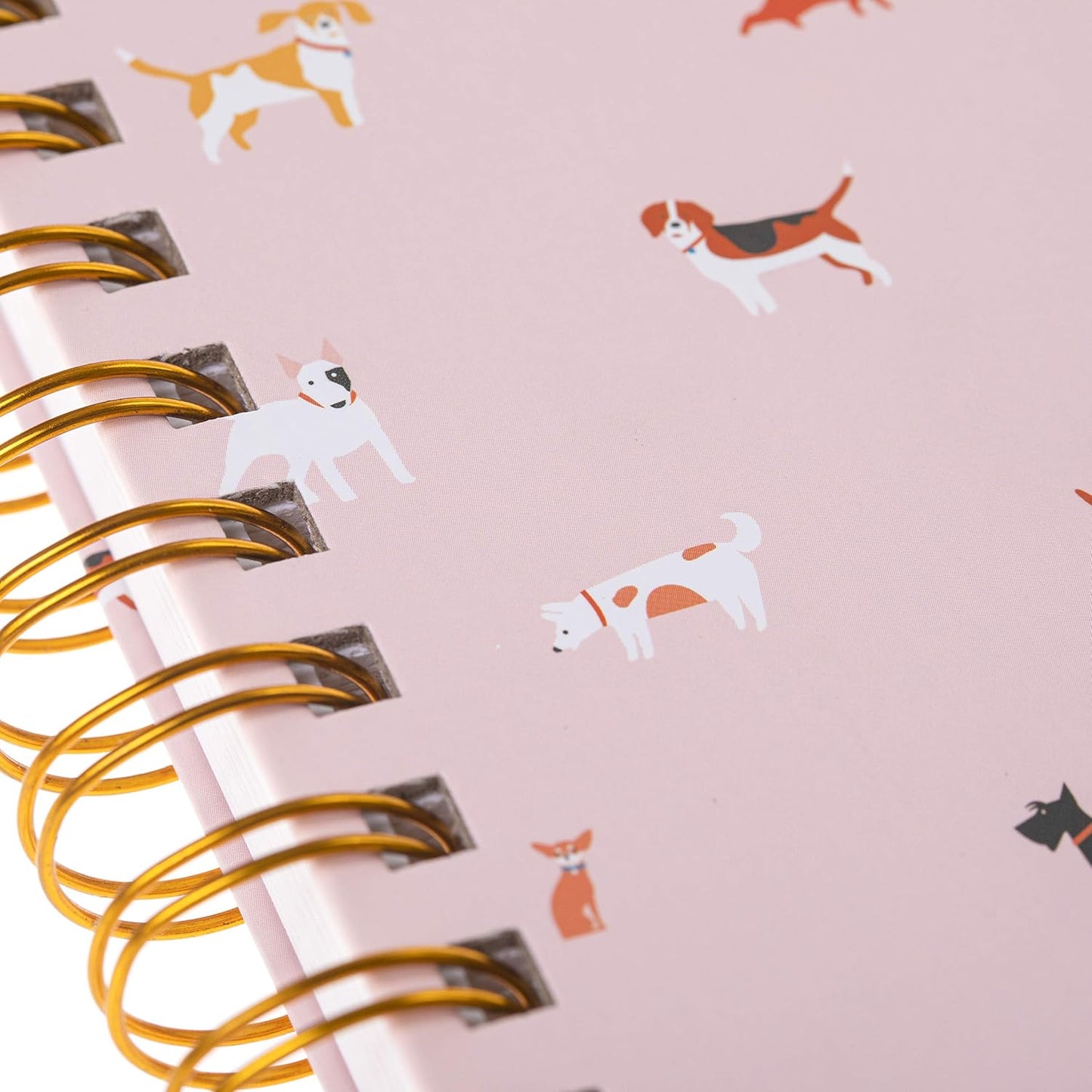Graphique notebook Journal 160 pags