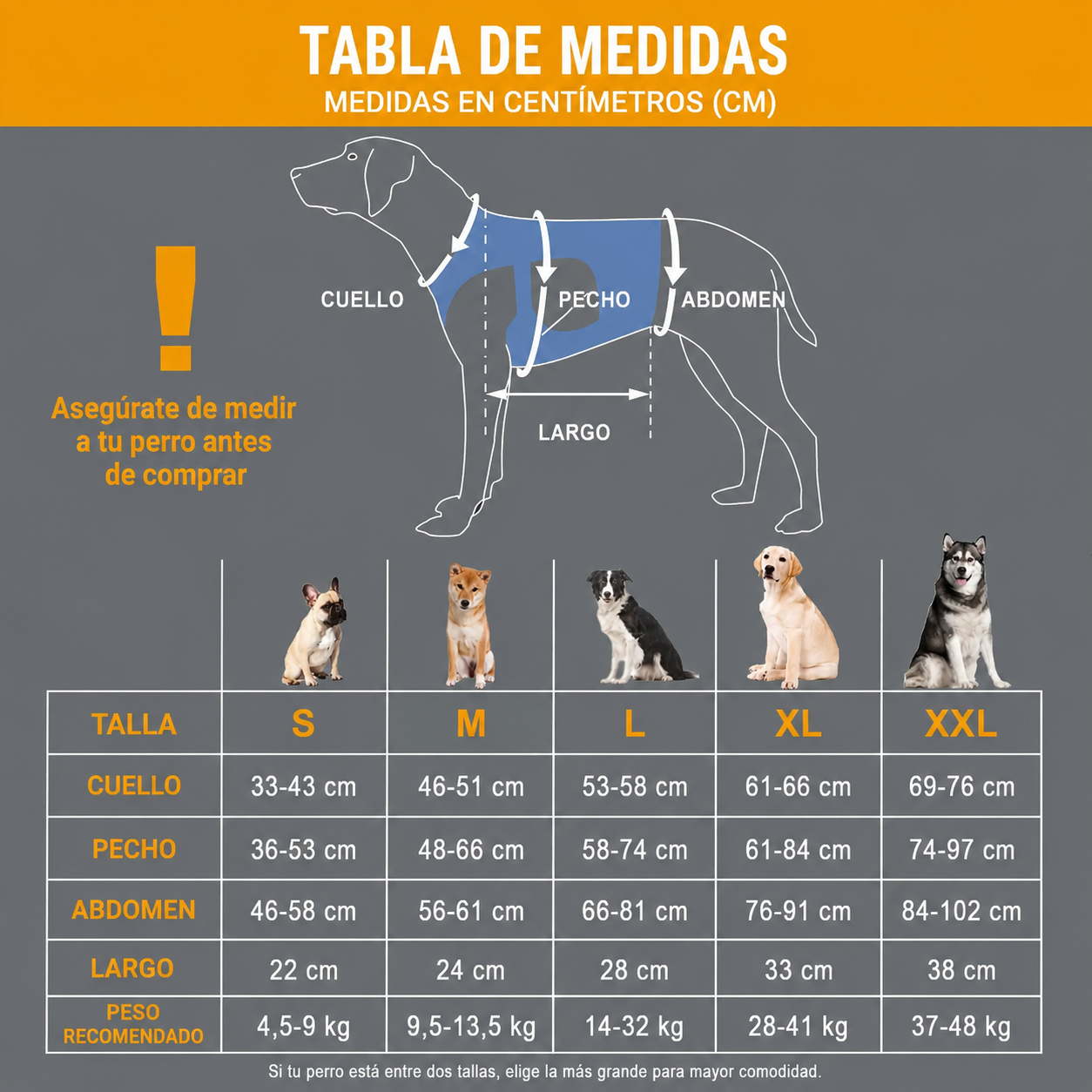 Harness Elevación