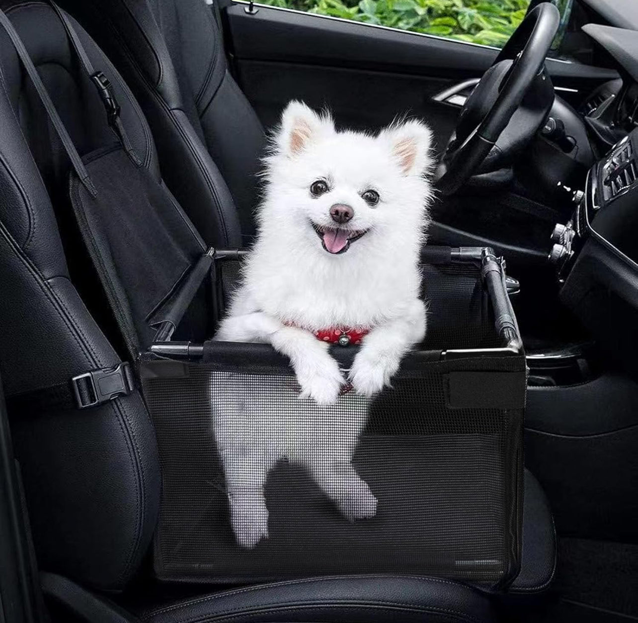 Asiento auto mascotas