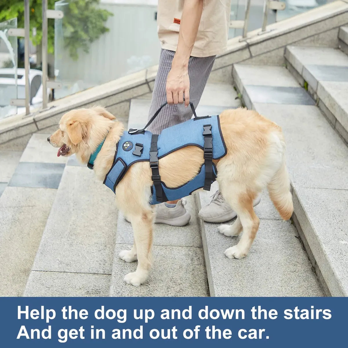 Harness Elevación