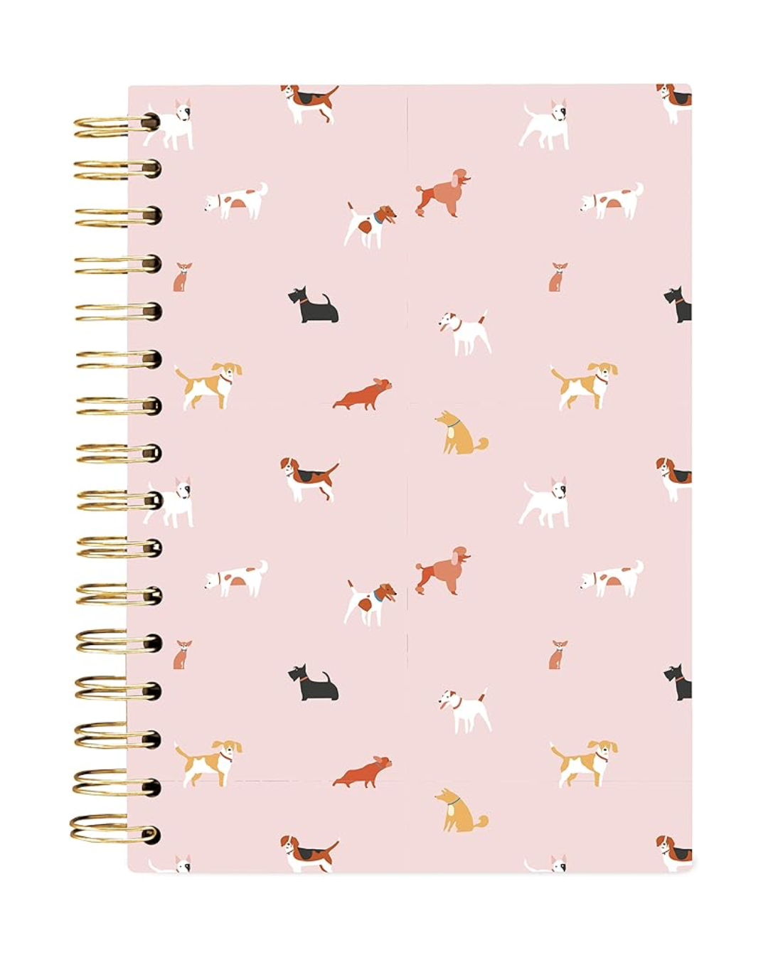Iris Notebook