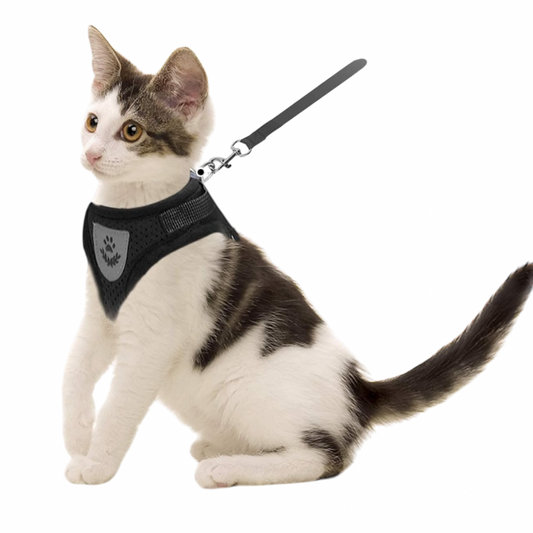 PECHERA ERGONOMICA PARA MASCOTAS