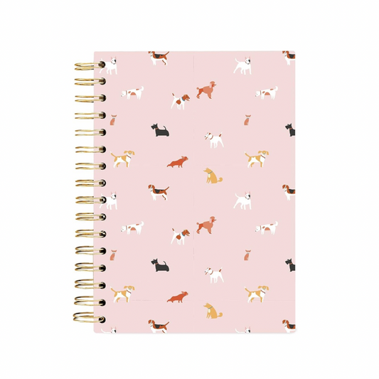 Graphique notebook Journal 160 pags