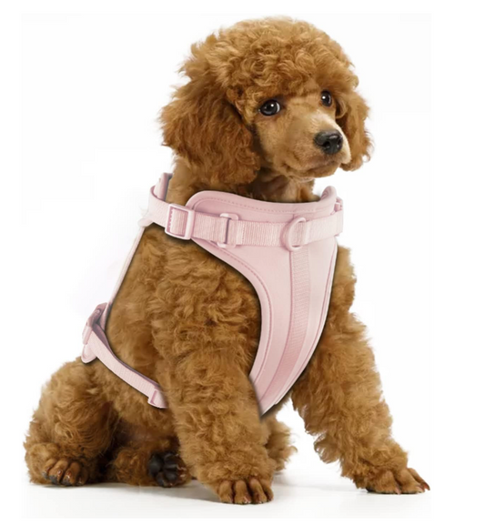 Kit Harness