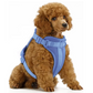 Kit Harness