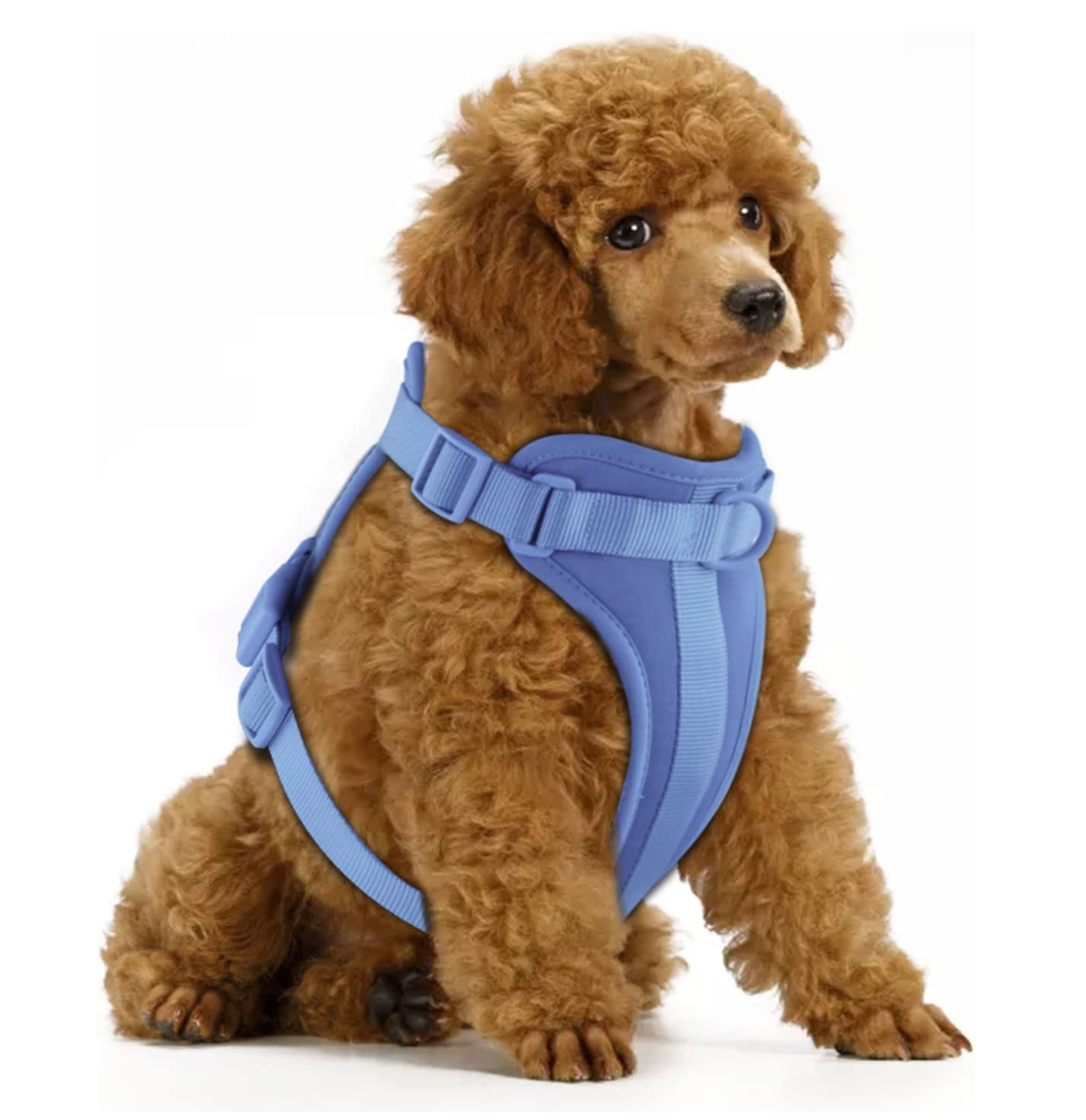 Kit Harness