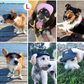 Gorra Para Mascotas Pawaboo Dog Baseball Cap