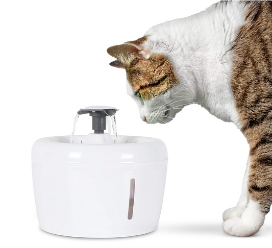 Fuente De Agua Para Mascotas