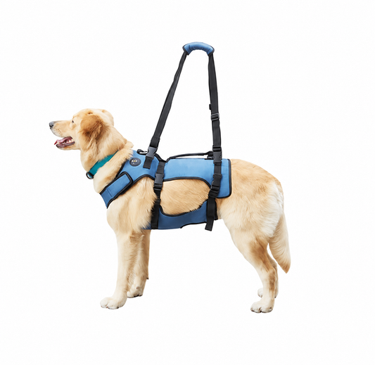 Harness Elevación