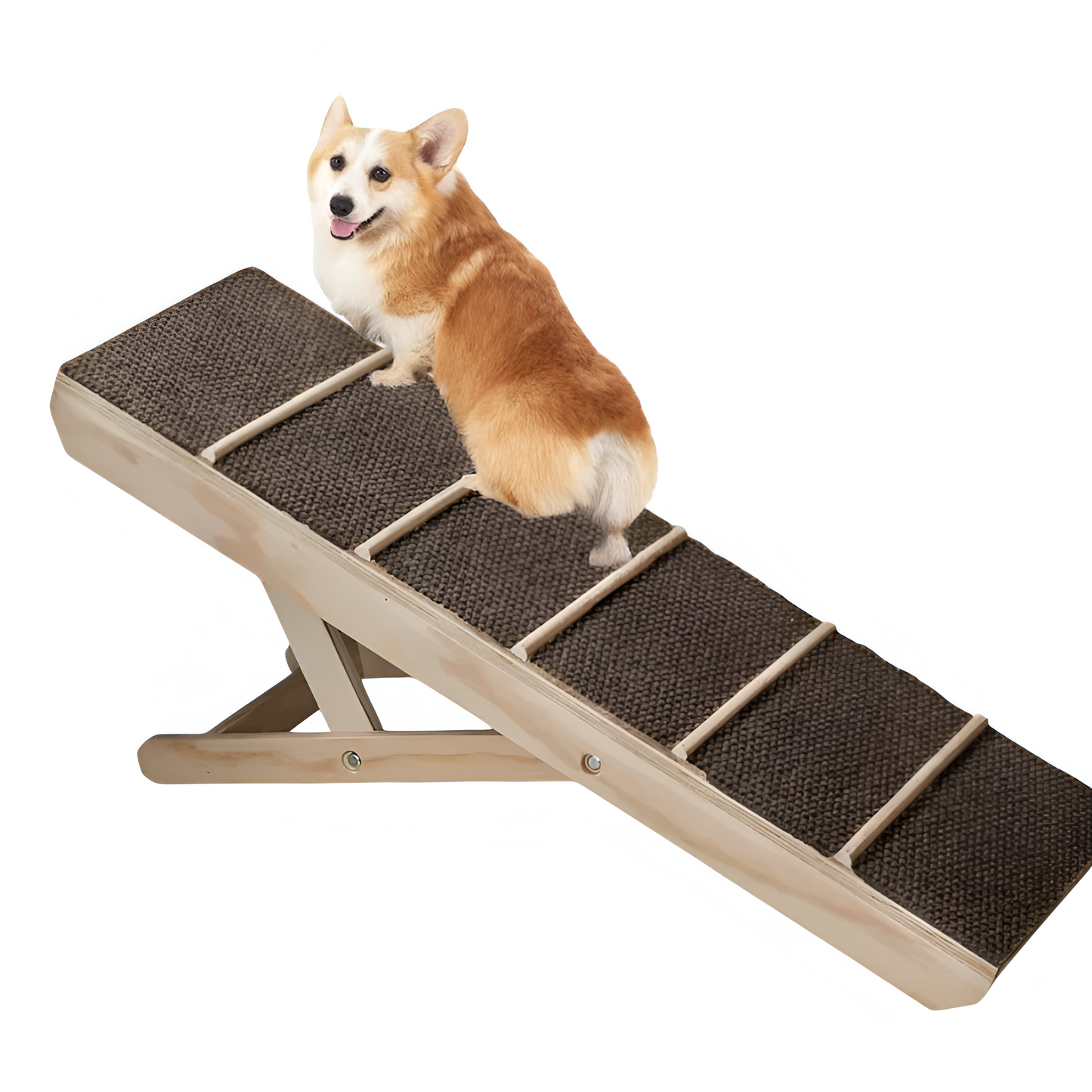 Rampa mascotas 30 cm de ancho (razas pequeñas)