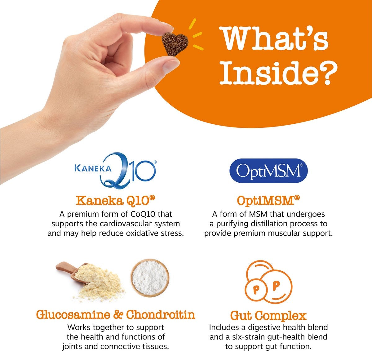 Zesty Paws Multivitamins 8-in-1 Bites Zesty Paws