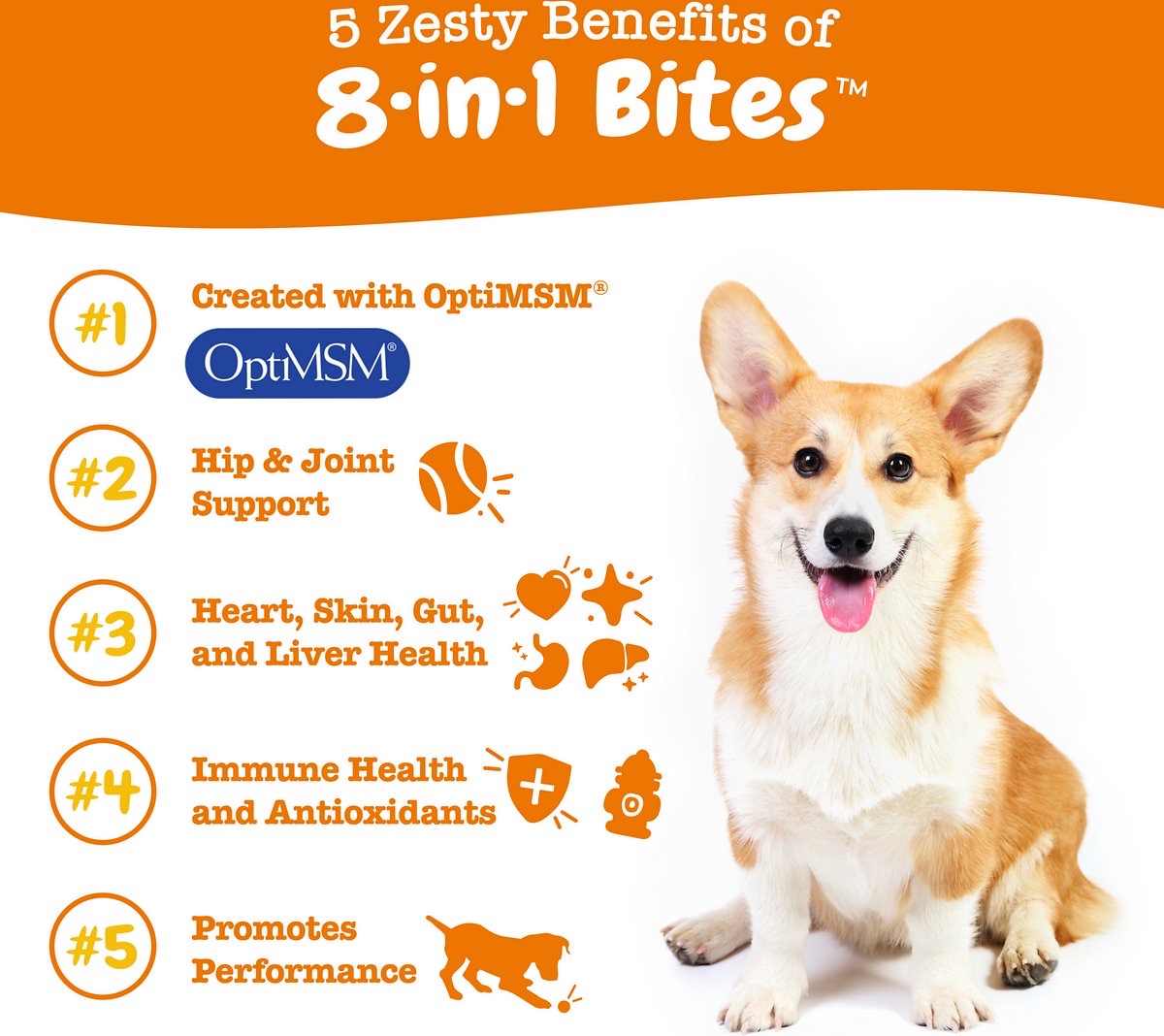 Zesty Paws Multivitamins 8-in-1 Bites Zesty Paws