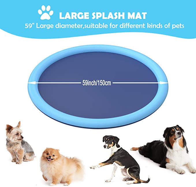 Splash Dog