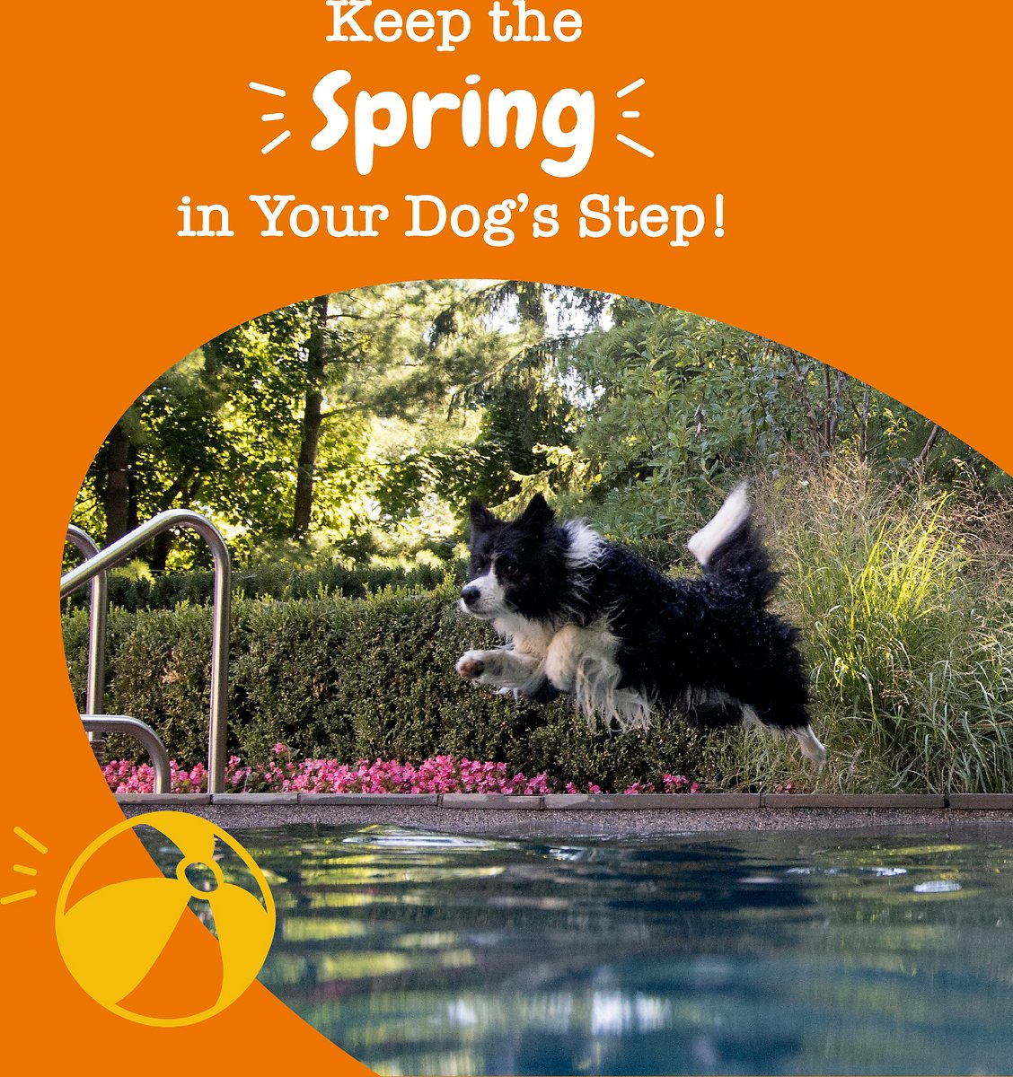 Suplemento Cadera Y Articulaciones