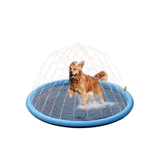 Splash Dog