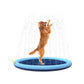 Splash Dog