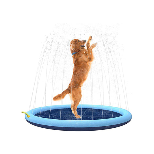 Splash Dog
