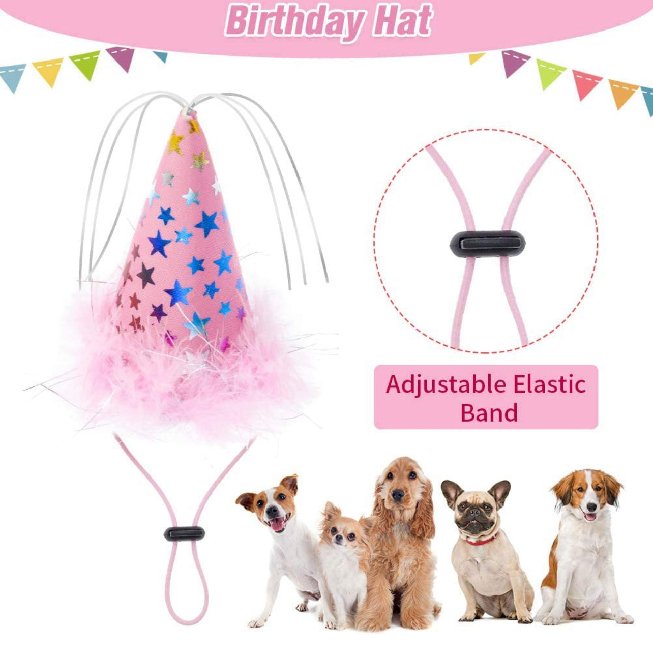 EXPAWLORER Traje de cumpleaños, lindo sombrero, bufanda y pastel chirriante