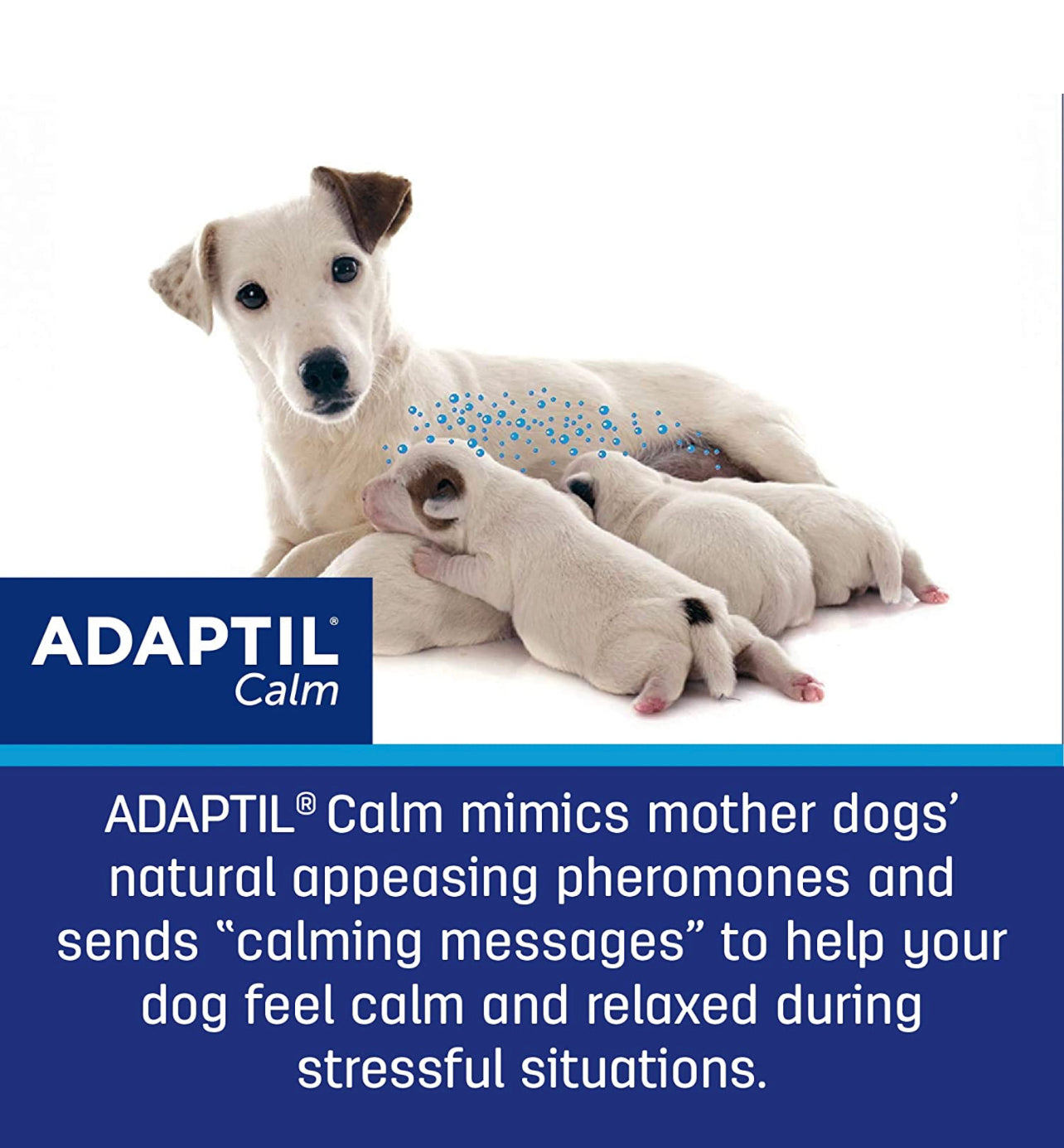 Collar calmante anti estrés - para perros medianos a grandes