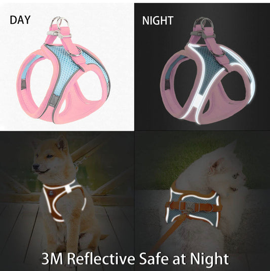 Harness PetCo